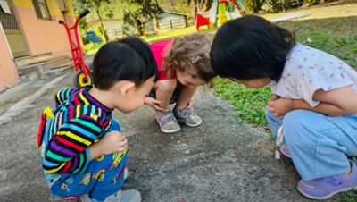 114學年度 永樂國小附設幼兒園 114/11/3-11/7課程圖片